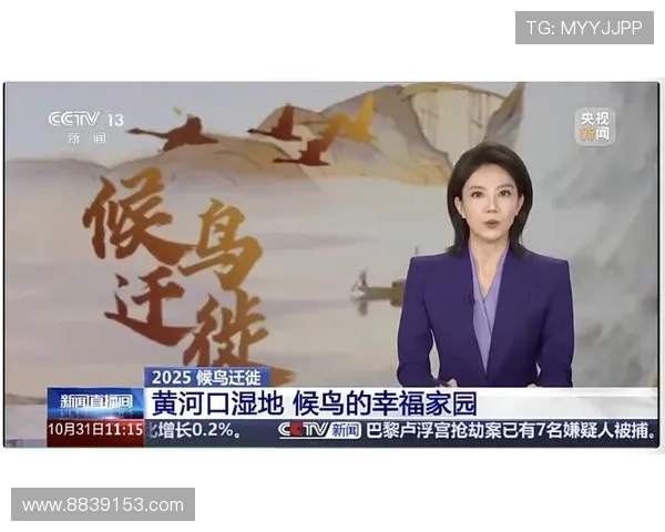 东营电视台高清直播实时在线观看指南